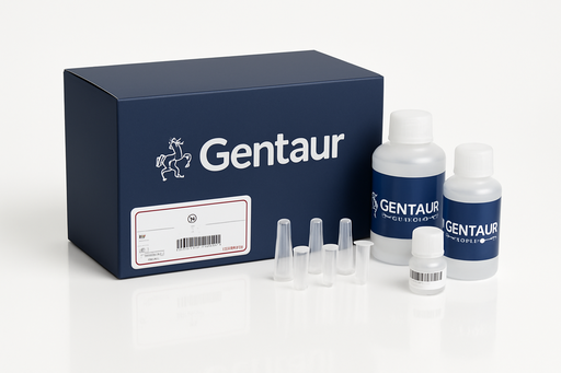 [SK2268] RNase H II, Glycerol-Free