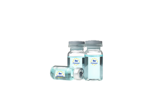 [GEN-PYT336-2ug] VEGF Mouse