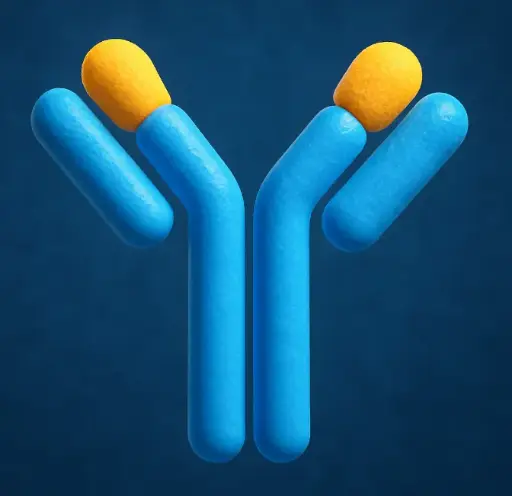 [ML-AS-1648] Goat Anti-Rabbit IgG H&L Antibody (HRP)